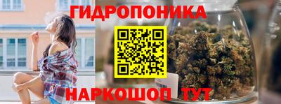 дурь Гудермес
