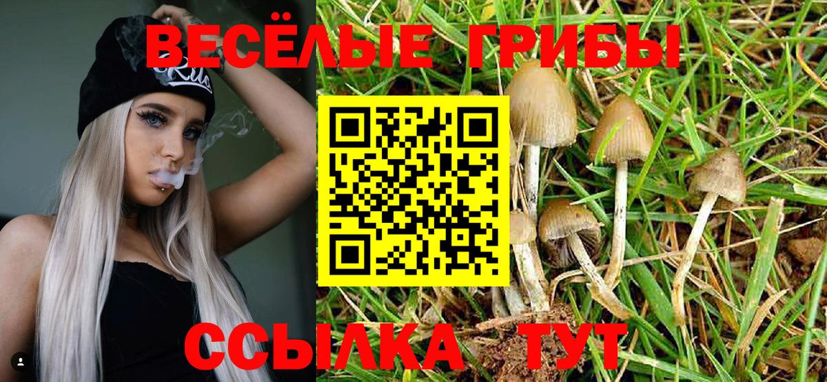 Галлюциногенные грибы ЛСД Бийск