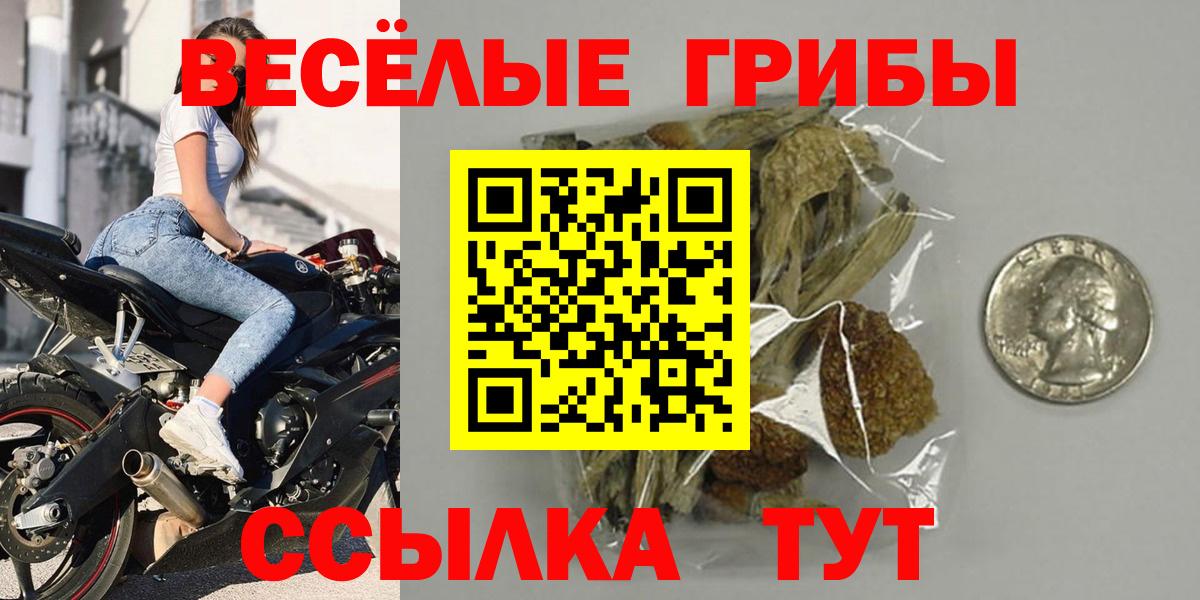 Псилоцибиновые грибы прущие грибы  Вход с VPN  Бийск 